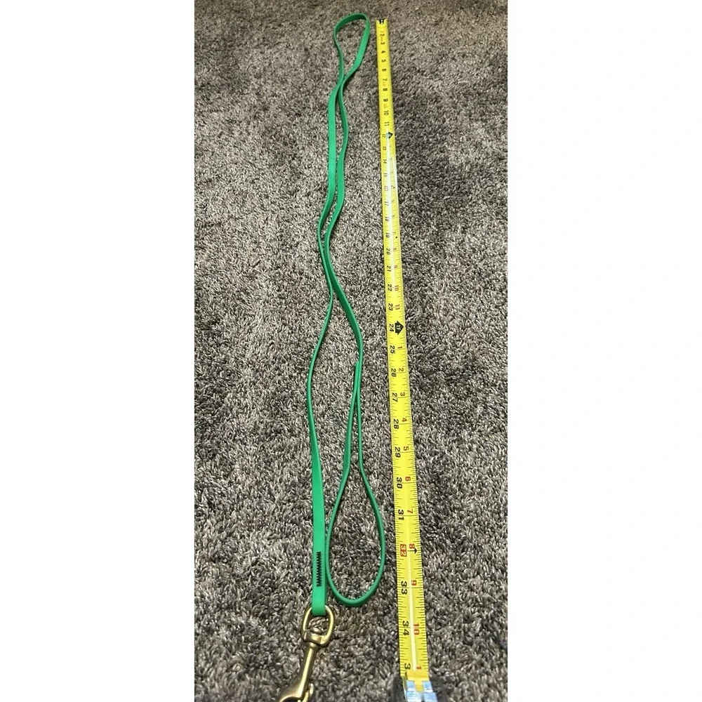 Biothane Dog Leash - Green - ~66